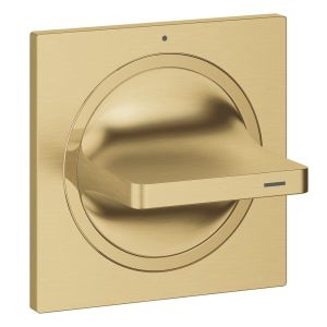Накладная панель скрытой вентильной головки GROHE Allure, холодный рассвет матовый (19334GN1)